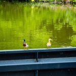 bewachte schleuse kw 2020 1 von 1