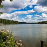 brandenburg 05