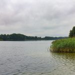 brandenburg 08